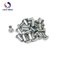 Jinxin studs (2)